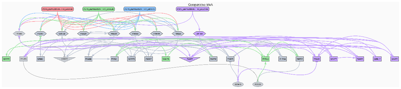 Example of a comparative treatment network from a previous study